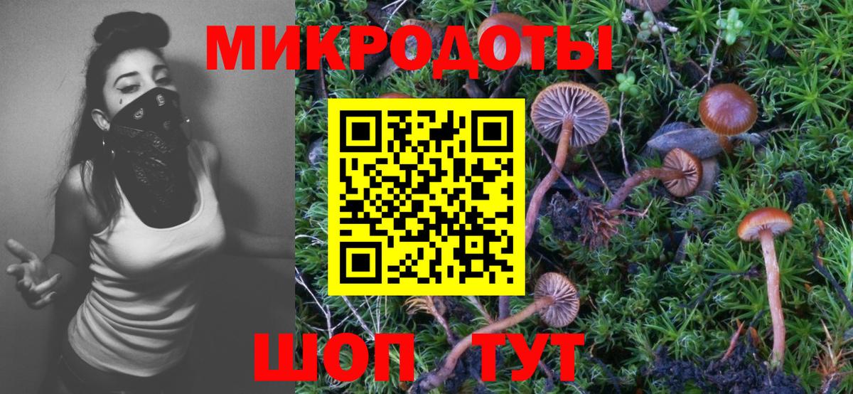 Галлюциногенные грибы прущие грибы Новоалтайск